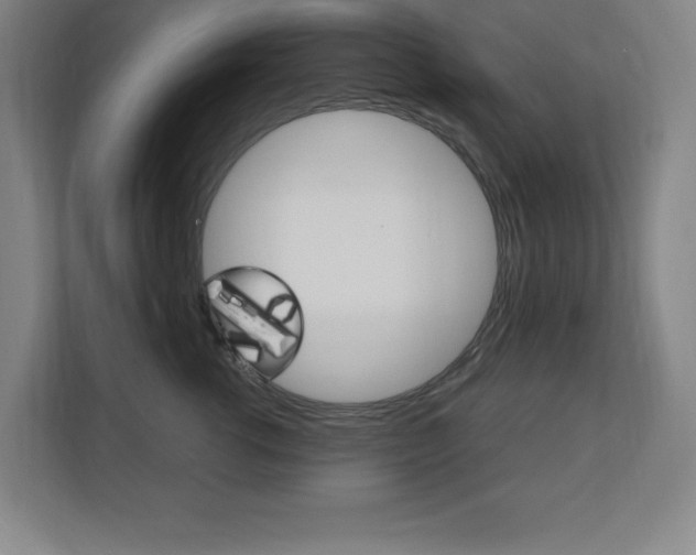 X0000110710762200906121056