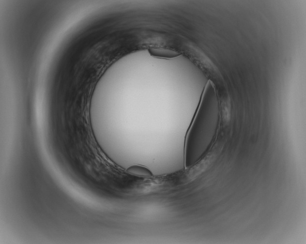 X0000110710764200906121056