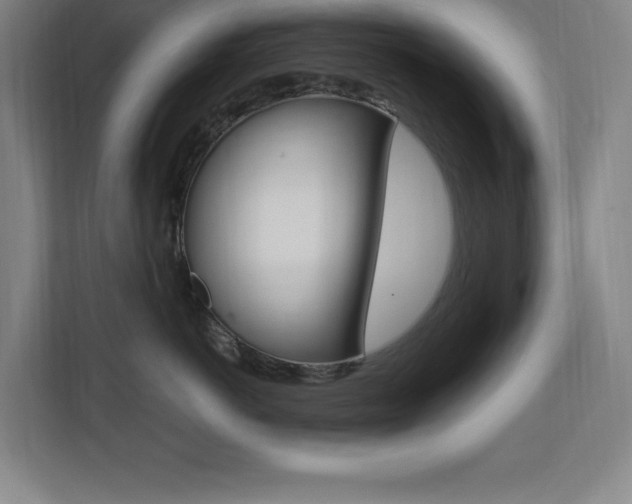 X0000110710766200906121056