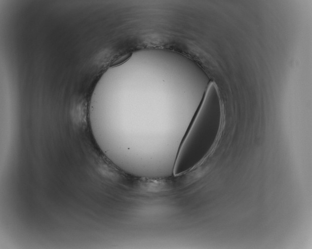 X0000110710768200906121056