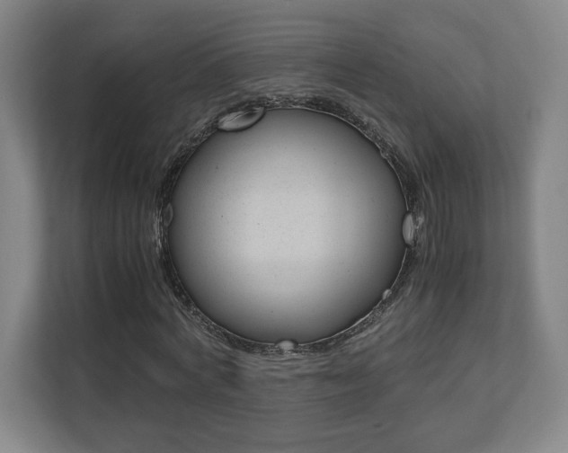 X0000110710772200906121055