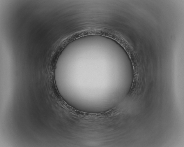 X0000110710773200906121055