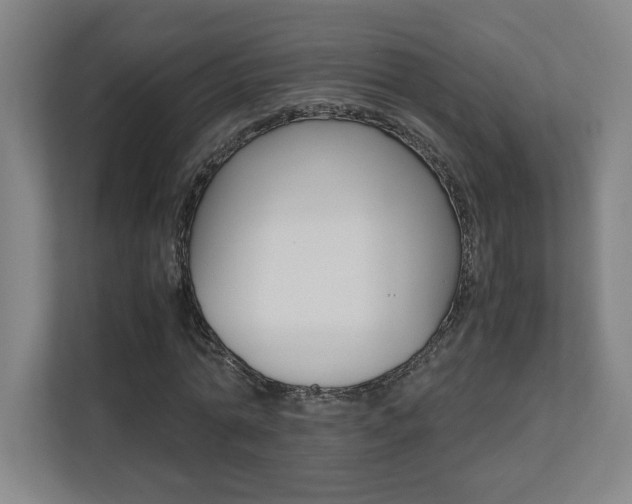 X0000110710774200906121055