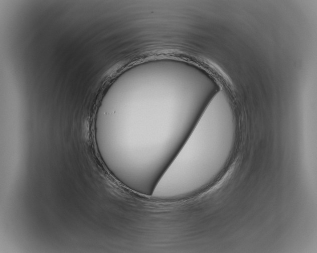 X0000110710777200906121055