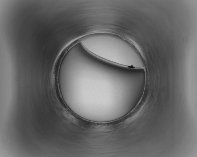 X0000110710779200906121055