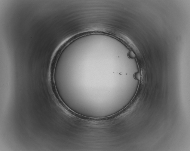 X0000110710780200906121055