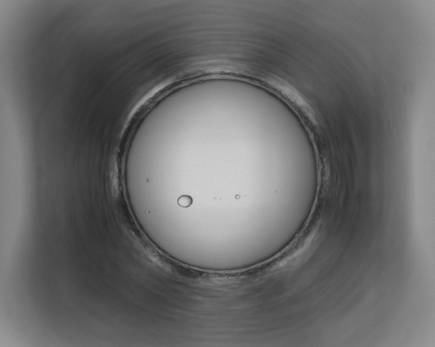 X0000110710782200906121055