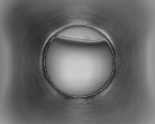 X0000110710783200906121055