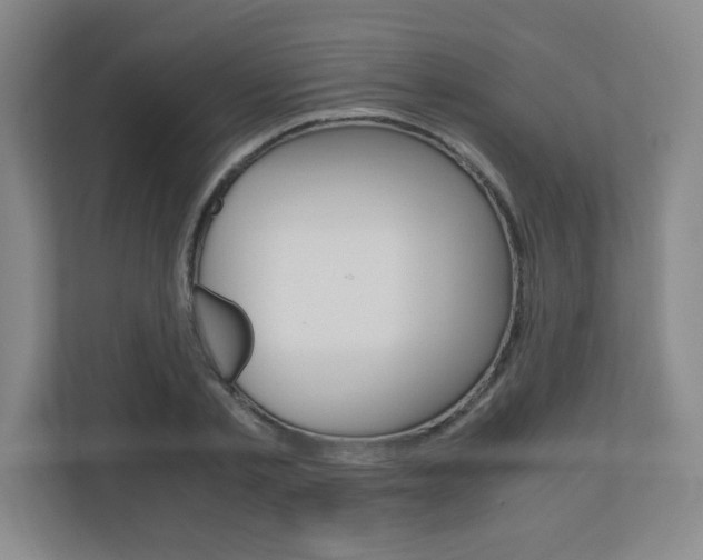 X0000110710789200906121055