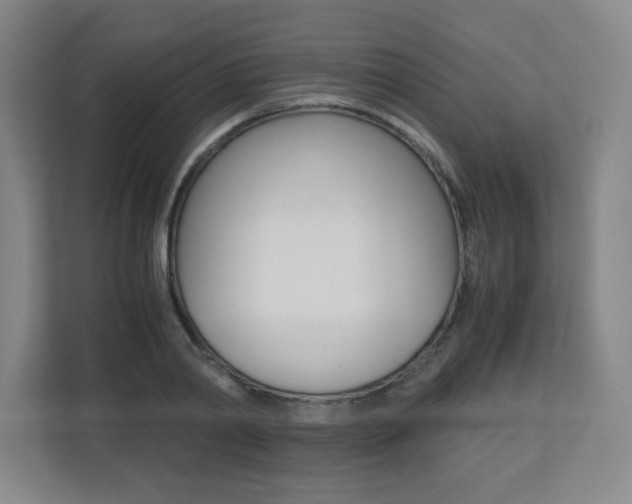 X0000110710790200906121055