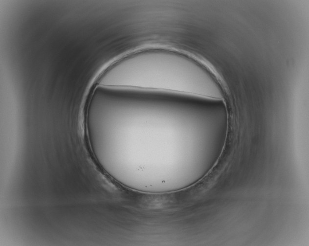 X0000110710791200906121055
