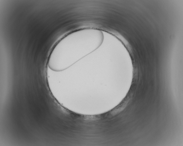 X0000110710807200906121054