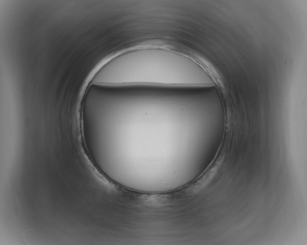 X0000110710808200906121054
