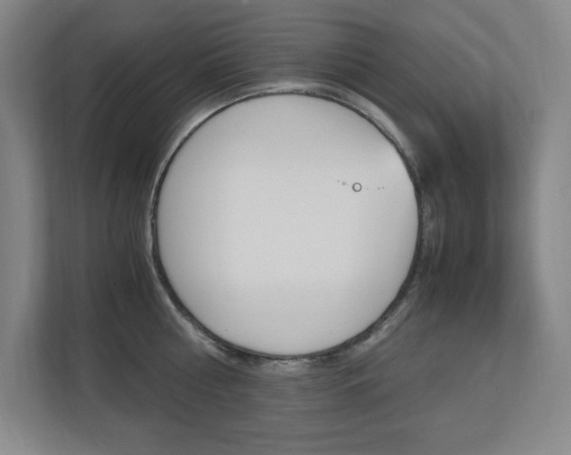 X0000110710810200906121054