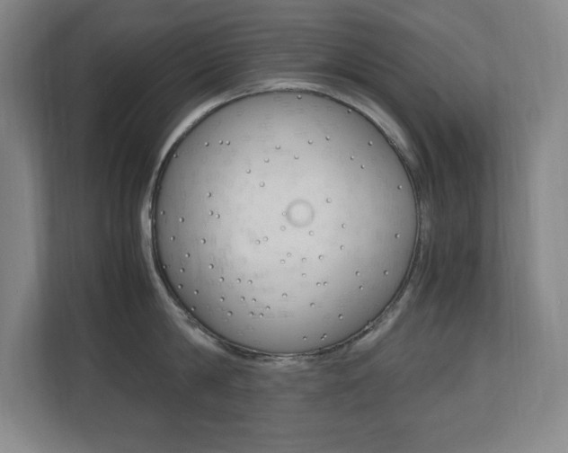 X0000110710814200906121054