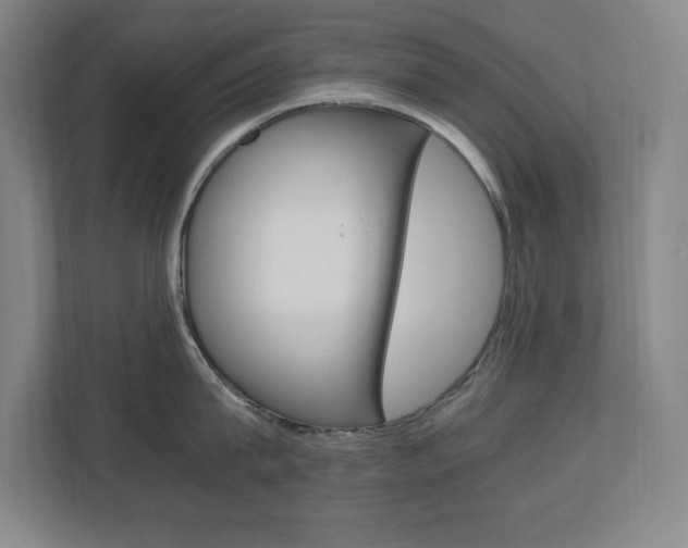 X0000110710815200906121054
