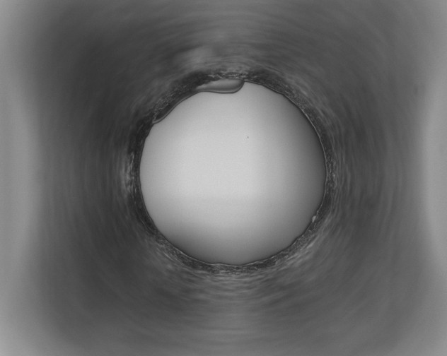 X0000110710818200906121054
