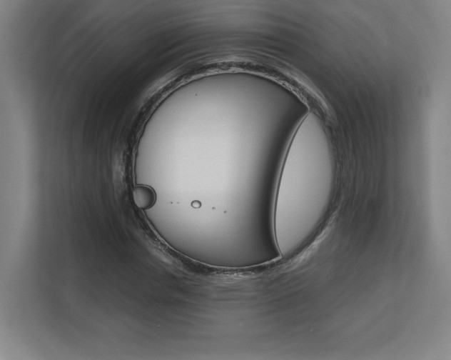 X0000110710826200906121054