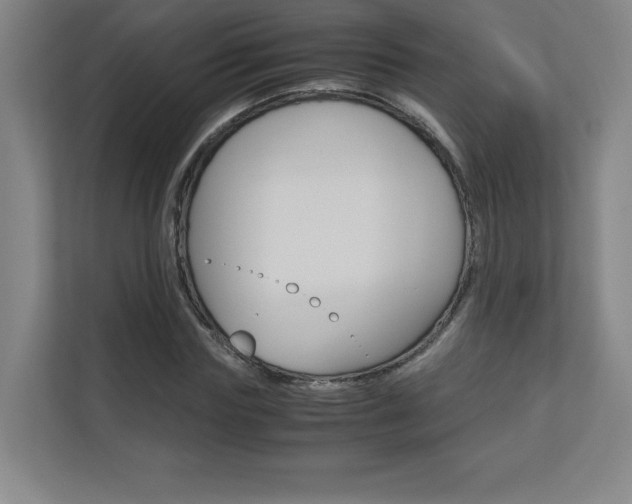 X0000110710827200906121054