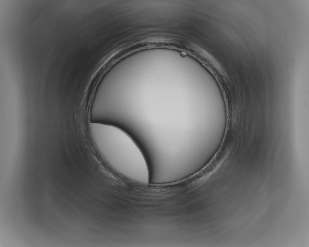 X0000110710829200906121054