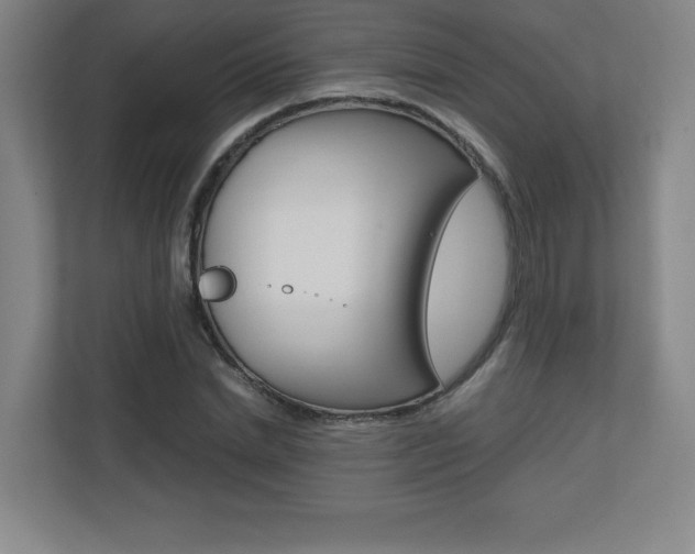 X0000110710830200906121054