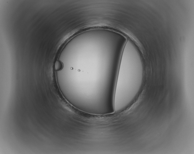 X0000110710834200906121054