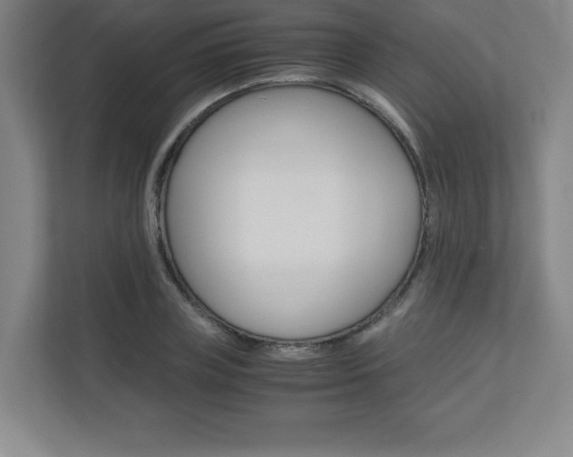 X0000110710835200906121054