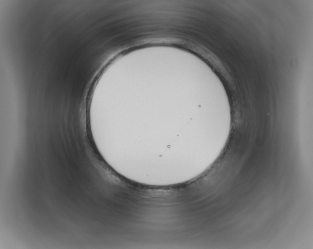 X0000110710836200906121054