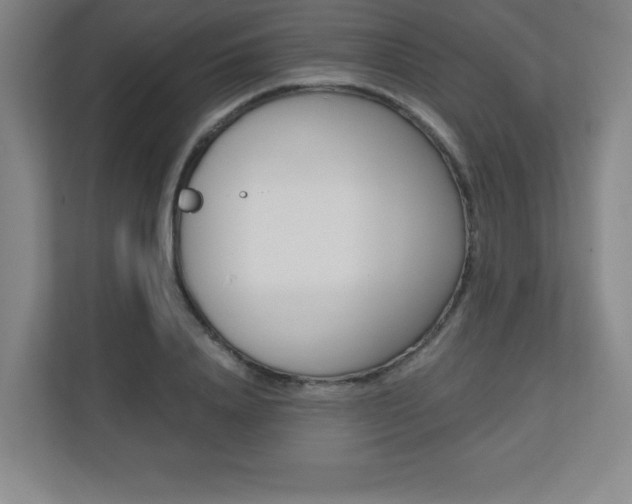 X0000110710840200906121054