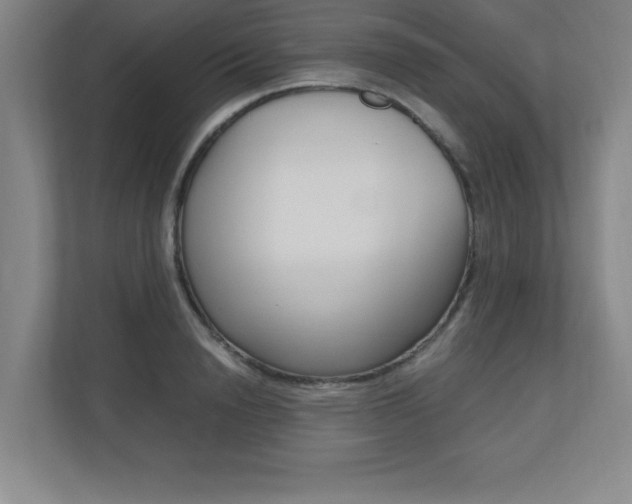 X0000110710846200906121054