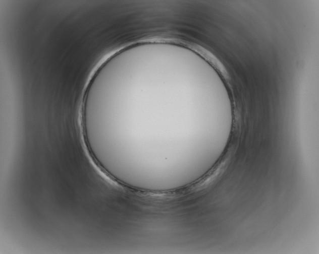 X0000110710855200906121054
