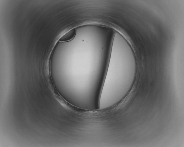 X0000110710858200906121054