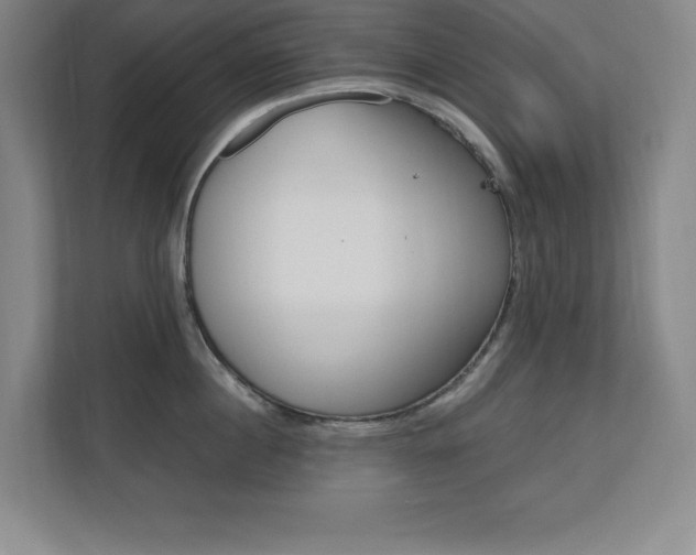X0000110710860200906121054