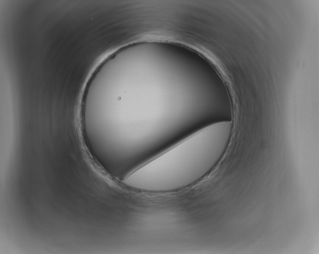 X0000110710864200906121054