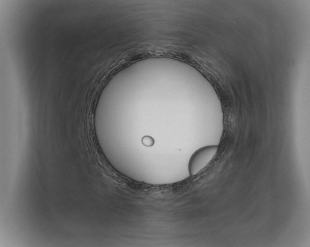 X0000110710865200906121054