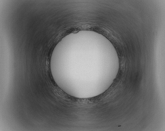 X0000110710866200906121054