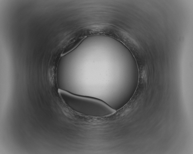 X0000110710868200906121054