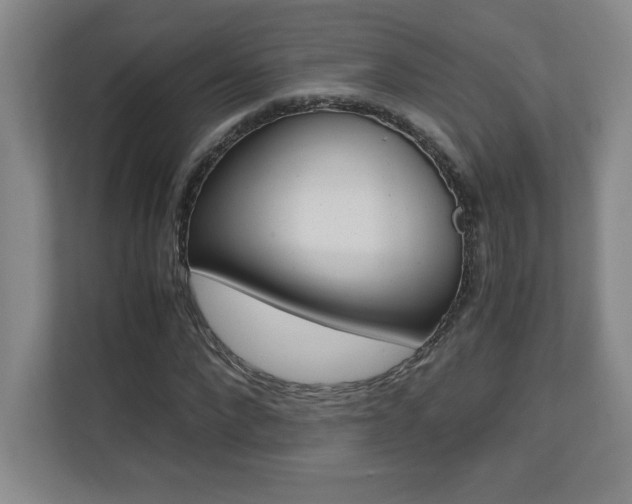 X0000110710872200906121054