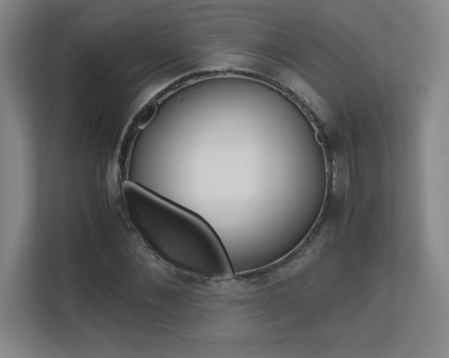 X0000110710876200906121054