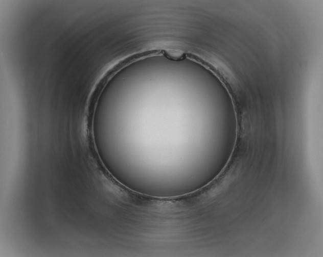 X0000110710880200906121054