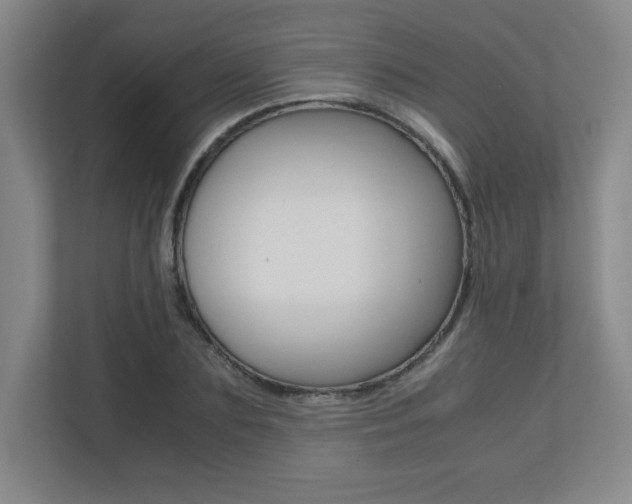 X0000110710883200906121053