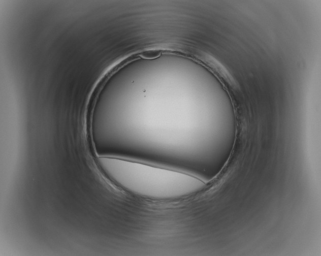 X0000110710884200906121053