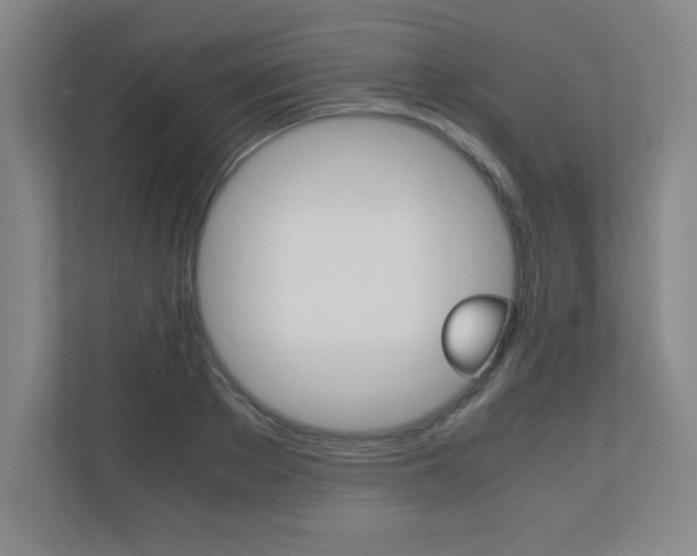 X0000110710889200906121053
