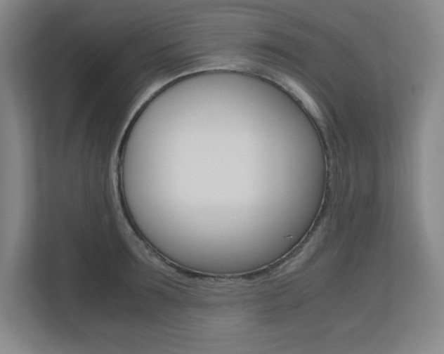 X0000110710899200906121053
