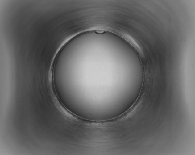X0000110710900200906121053