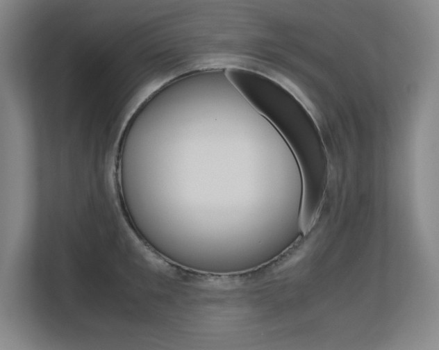 X0000110710901200906121053