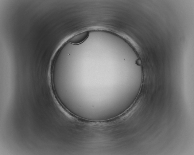 X0000110710902200906121053
