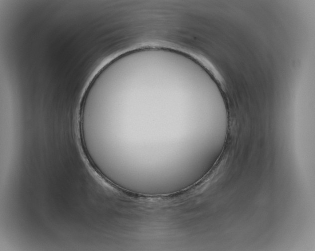 X0000110710903200906121053