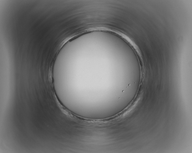 X0000110710905200906121053