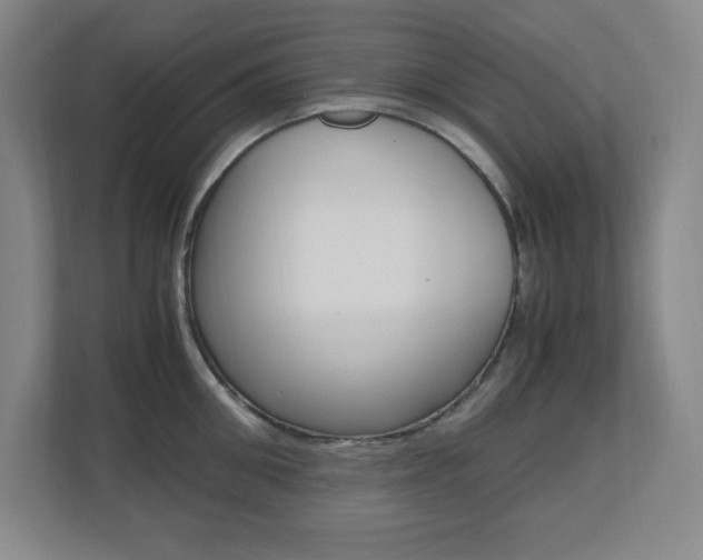 X0000110710906200906121053